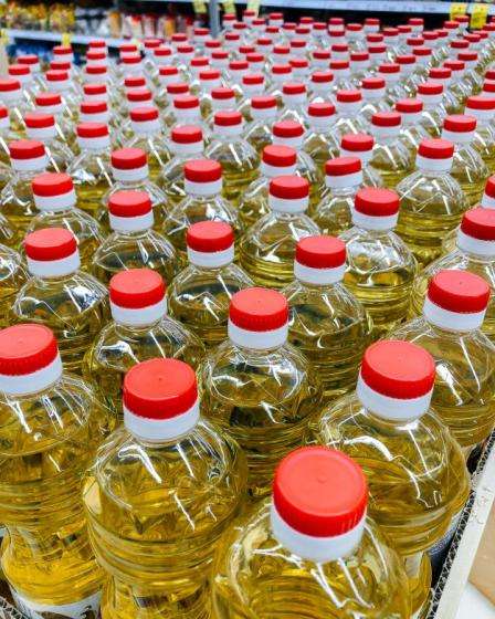 Sunflower Oil - Image 2